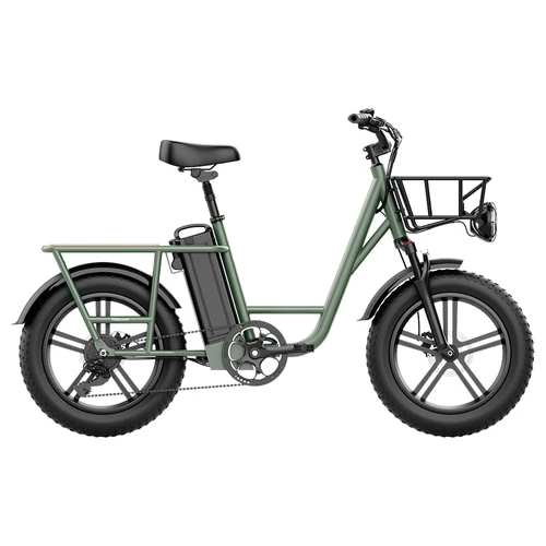 FIIDO T1 Cargo Electric Bike Geekbuying Coupon Promo Code (PL Warehouse)